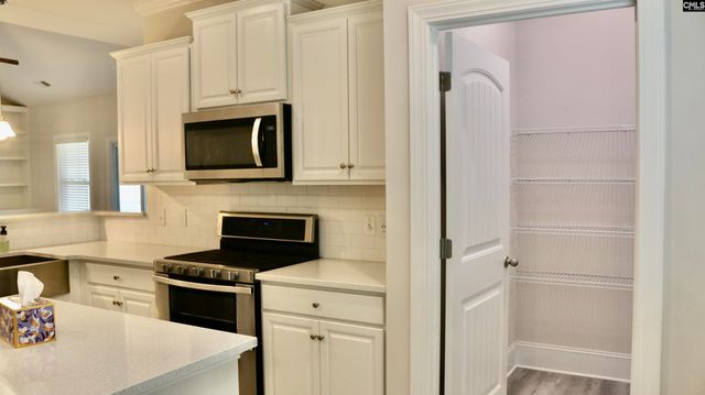155 Doolittle Drive, Chapin, SC 29036