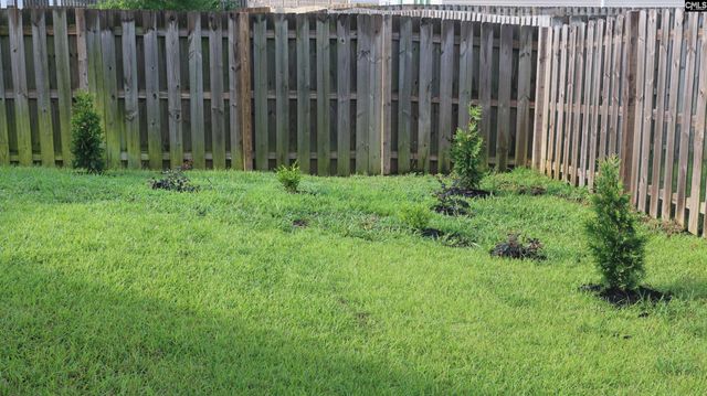 155 Doolittle Drive, Chapin, SC 29036