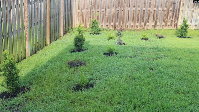 155 Doolittle Drive, Chapin, SC 29036