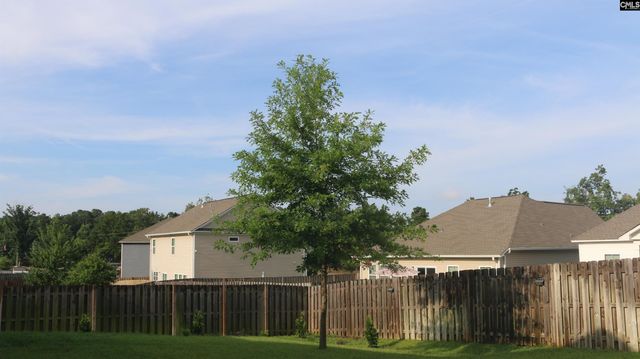 155 Doolittle Drive, Chapin, SC 29036