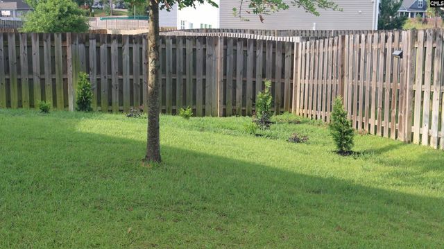 155 Doolittle Drive, Chapin, SC 29036