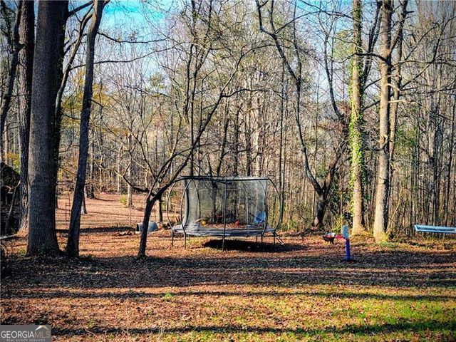 1173 Dabbs Bridge Road, Dallas, GA 30132