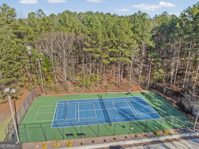 55 Ashland Grove Court, Sharpsburg, GA 30277