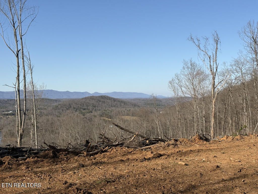 311 Tate Coley Rd, Lenoir City, TN 37771