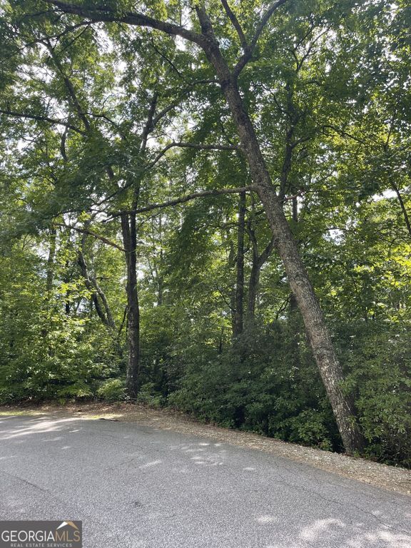 0 Kingwood Drive LOT 104CC, Clayton, GA 30525 — photo 2