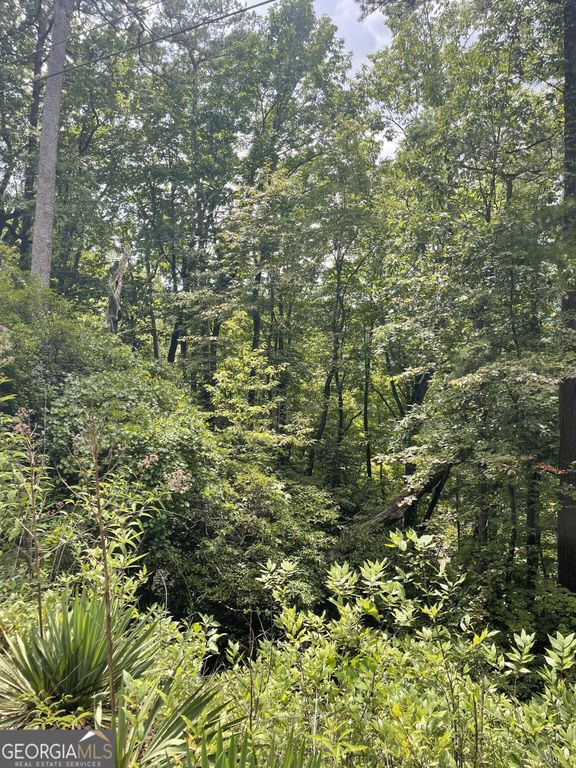 0 Kingwood Drive LOT 104CC, Clayton, GA 30525 — photo 3