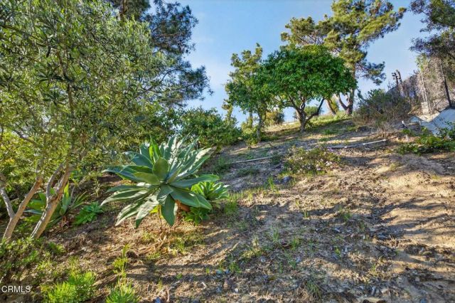 2023 Alborada Drive, Camarillo, CA 93010