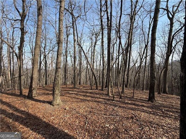 0 Burnt Mtn Cove Road, Jasper, GA 30143
