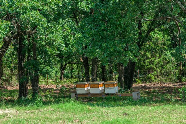 1111 Riley Road, Whitesboro, TX 76273