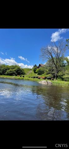 420 Island Branch Road, Fowler, NY 13642