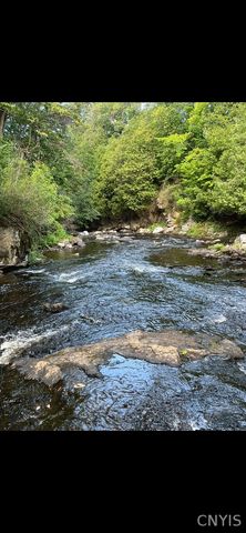 420 Island Branch Road, Fowler, NY 13642