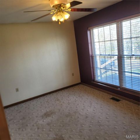 3980 Wilkinson Road, De Soto, MO 63020