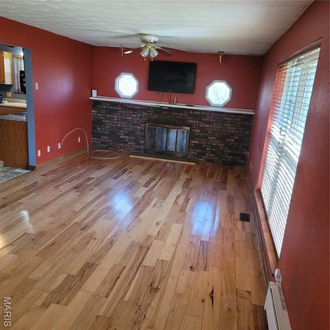 3980 Wilkinson Road, De Soto, MO 63020