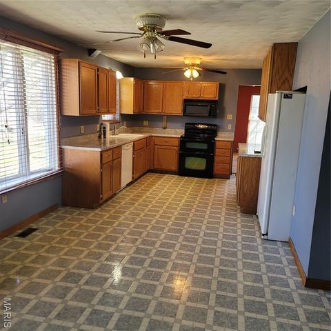 3980 Wilkinson Road, De Soto, MO 63020