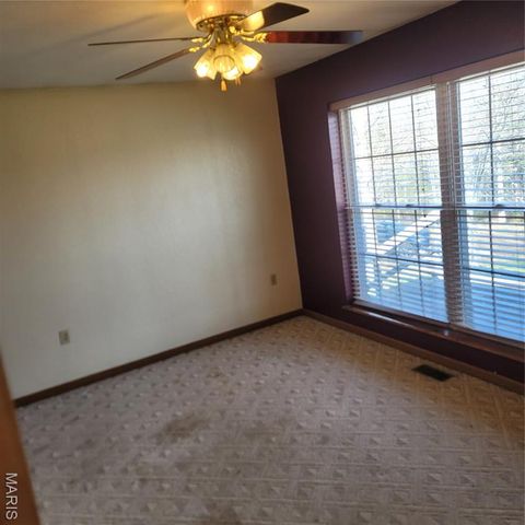 3980 Wilkinson Road, De Soto, MO 63020