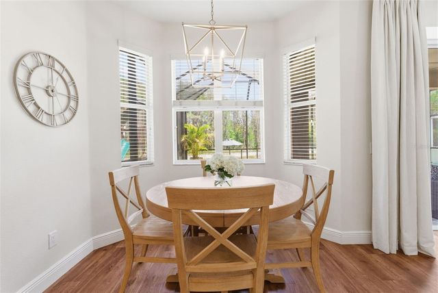 17815 AYRSHIRE BOULEVARD, Land O Lakes, FL 34638