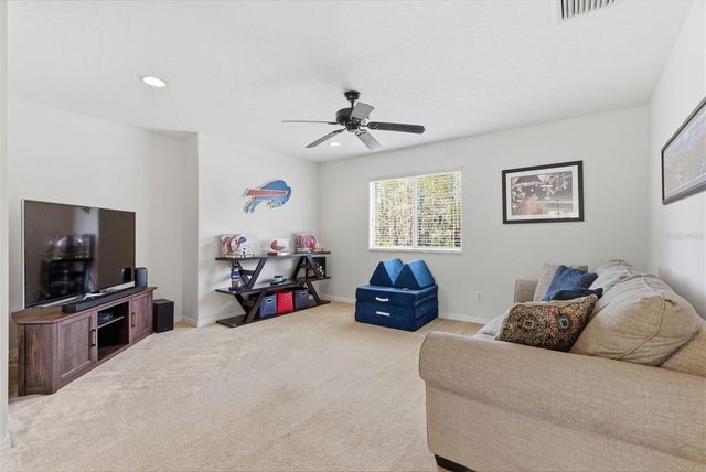 17815 AYRSHIRE BOULEVARD, Land O Lakes, FL 34638