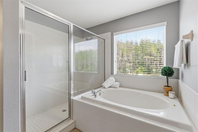 17815 AYRSHIRE BOULEVARD, Land O Lakes, FL 34638