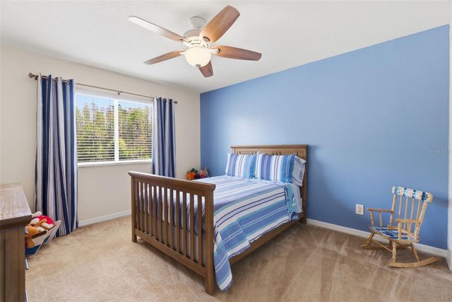 17815 AYRSHIRE BOULEVARD, Land O Lakes, FL 34638