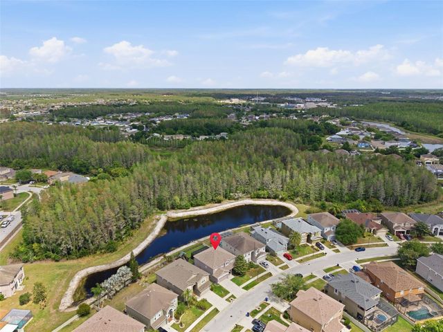 17815 AYRSHIRE BOULEVARD, Land O Lakes, FL 34638