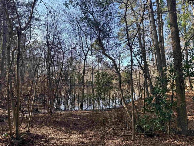 162 Baskin Hills Road, Lexington, SC 29072