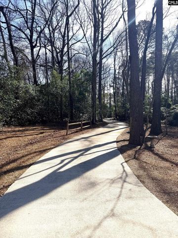 162 Baskin Hills Road, Lexington, SC 29072