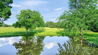 TBD FM 2645, Savoy, TX 75479