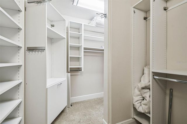 4161 ROLLING SPRINGS DRIVE, Tampa, FL 33624