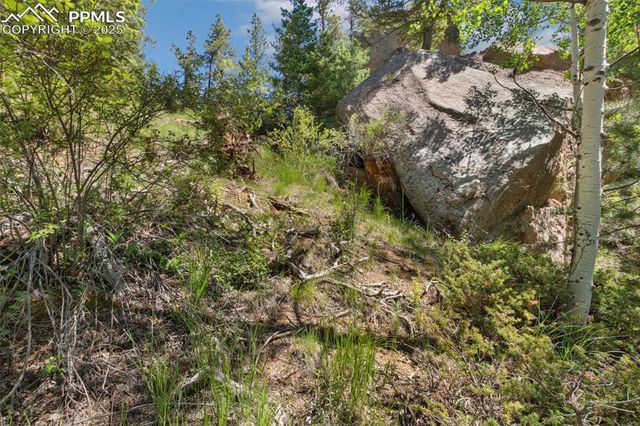 6050 Coffee Pot Road, Manitou Springs, CO 80829