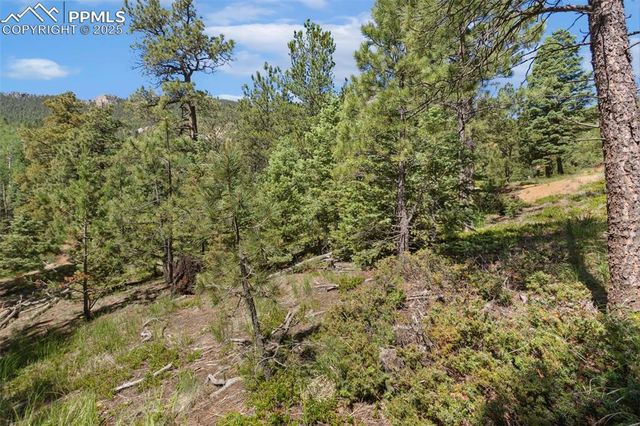 6050 Coffee Pot Road, Manitou Springs, CO 80829