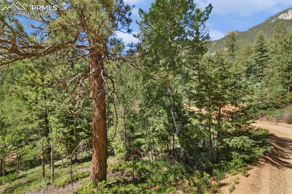 6050 Coffee Pot Road, Manitou Springs, CO 80829 — photo 4