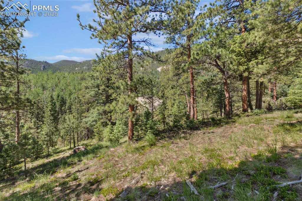 6050 Coffee Pot Road, Manitou Springs, CO 80829 — photo 5