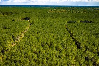 0 Duff Road, Livingston, TX 77351