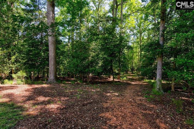 1756 Wash Lever Road, Little Mountain, SC 29075