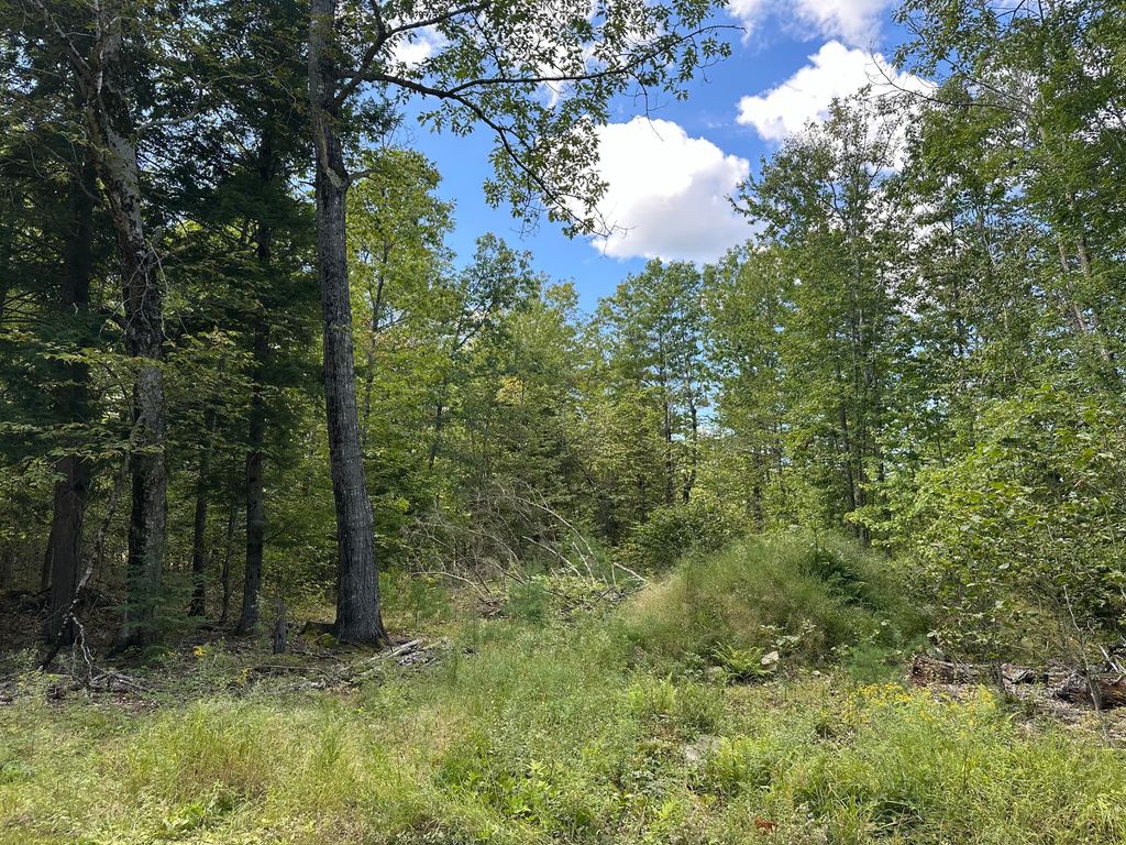 180 N Camp Road, Otisfield, ME 04270 — photo 4