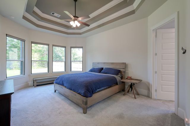 359 Calmato Woods Way, Conroe, TX 77318