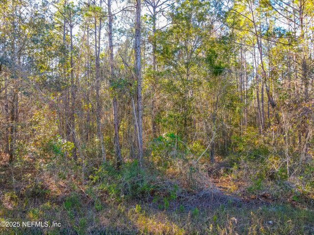 10265 FLIKKEMA Avenue, Hastings, FL 32145