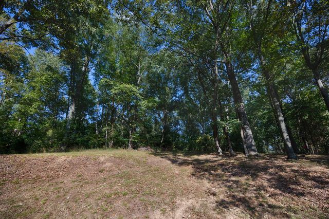 29636 Veto Rd, Elkmont, AL 35620