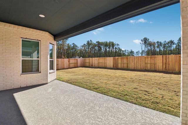 9742 Roaring River Falls Lane, Porter, TX 77365