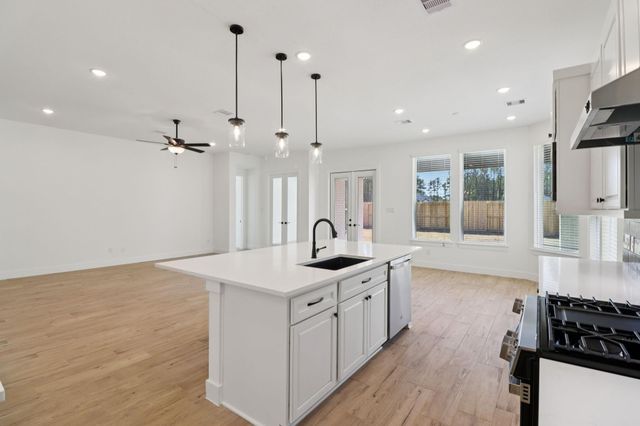 9742 Roaring River Falls Lane, Porter, TX 77365