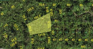 1010 Sawfish LN, Punta Gorda, FL 33982