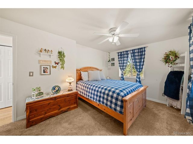 524 Spring Valley Dr, Florissant, CO 80816