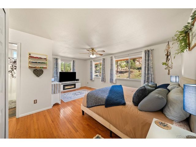 524 Spring Valley Dr, Florissant, CO 80816