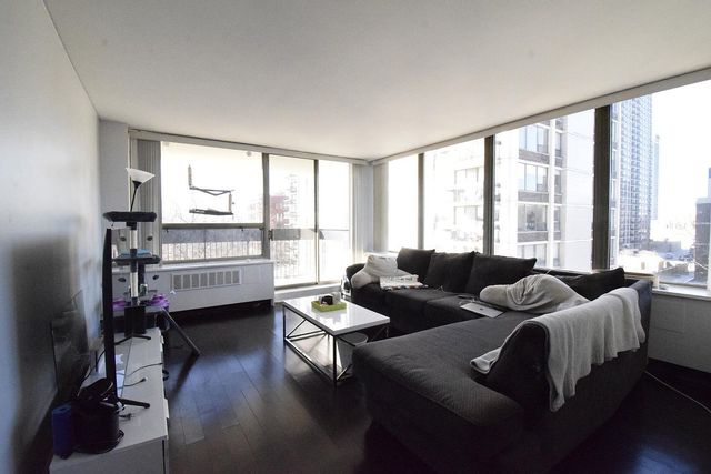 1455 N Sandburg Terrace 509, Chicago, IL 60610