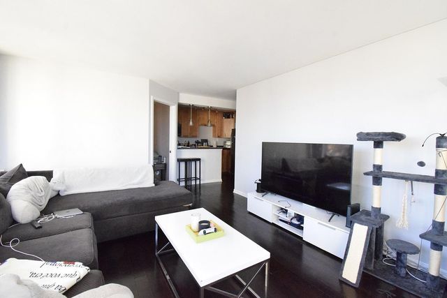 1455 N Sandburg Terrace 509, Chicago, IL 60610