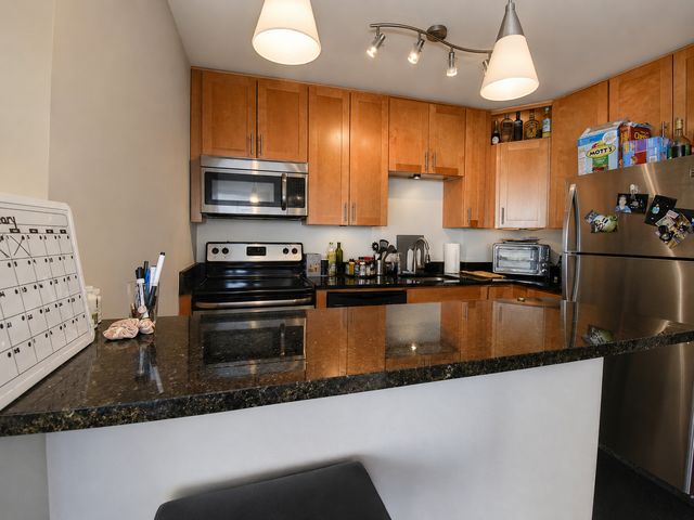 1455 N Sandburg Terrace 509, Chicago, IL 60610