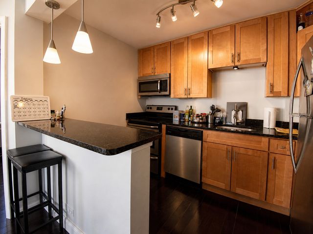 1455 N Sandburg Terrace 509, Chicago, IL 60610