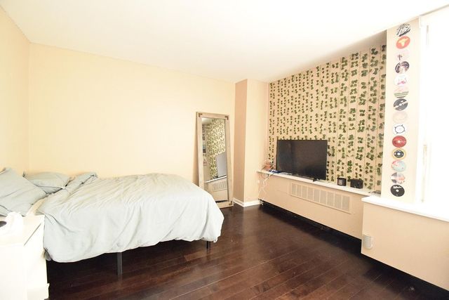 1455 N Sandburg Terrace 509, Chicago, IL 60610