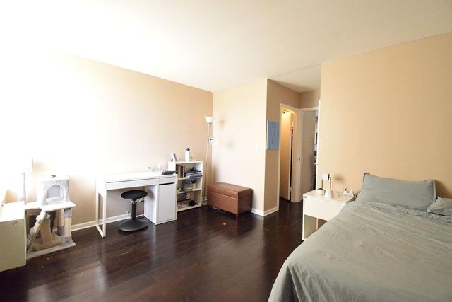 1455 N Sandburg Terrace 509, Chicago, IL 60610