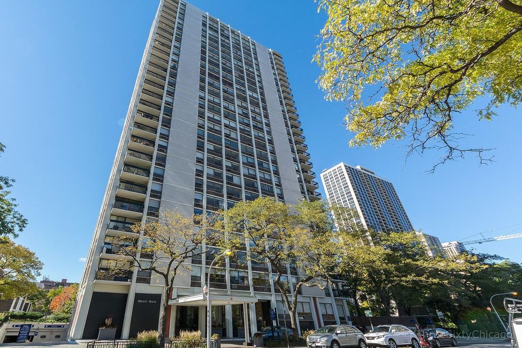 1455 N Sandburg Terrace 509, Chicago, IL 60610